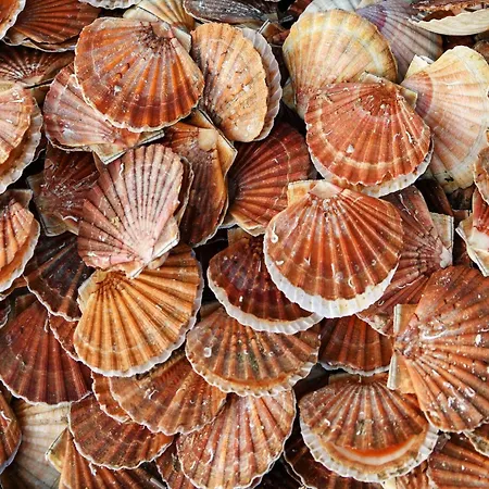 Appartement In Normandy Near Seine River *